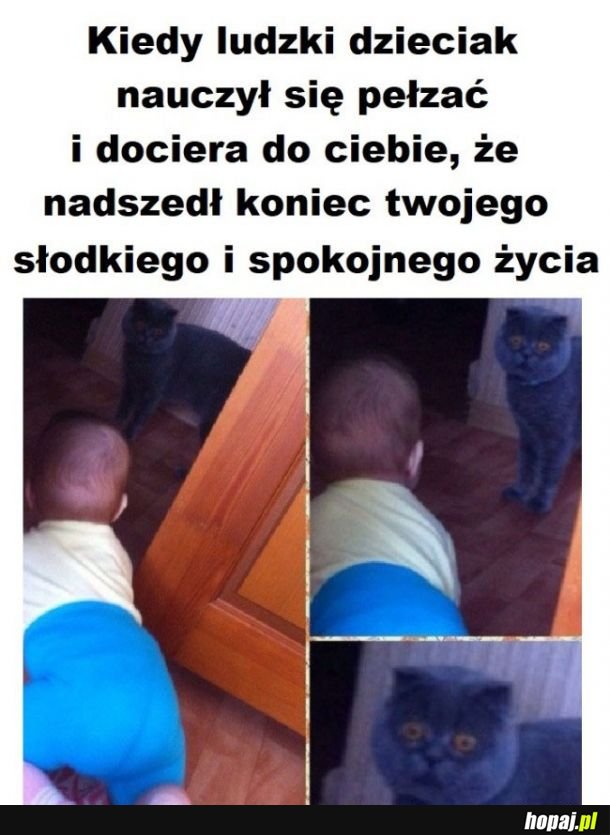 Najgorzej
