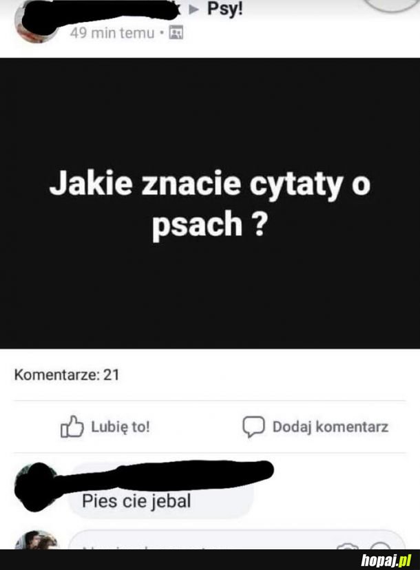 Głęboki cytat