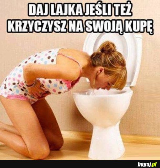 DAJ LAJKA