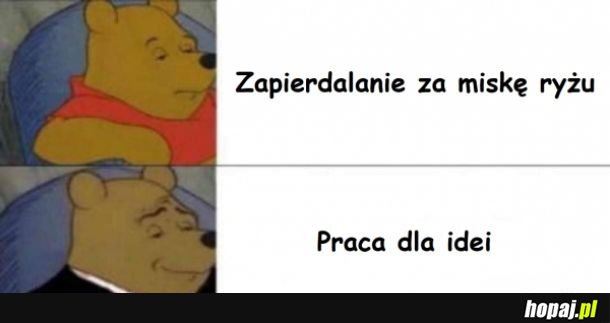 Praca dla idei 