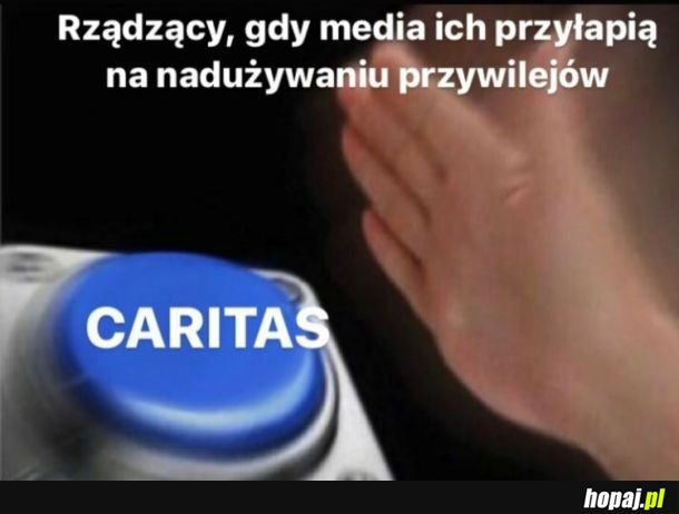  Polski rząd 