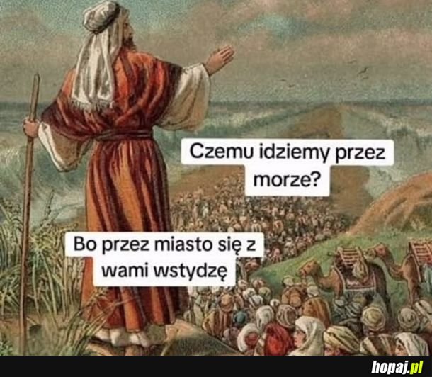 Jasna i klarowna odpowiedź