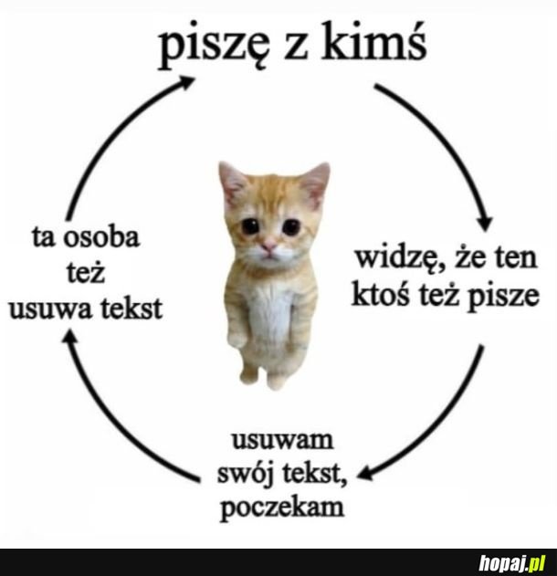 Wiadomość