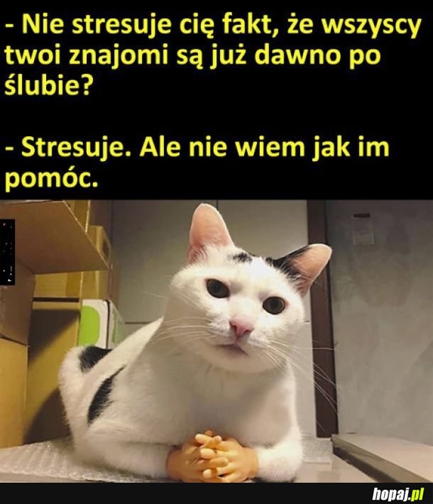 I po temacie xd