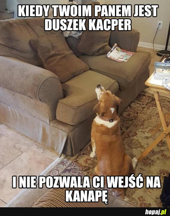 No co zrobić?