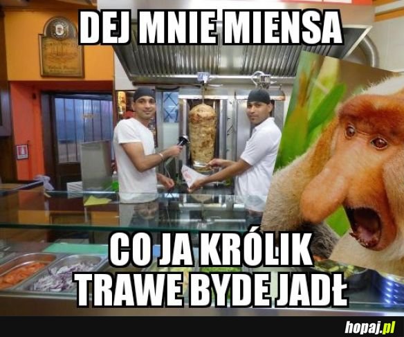 Prawdziwy kebab