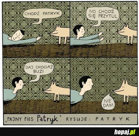 Fajny pies Patryk