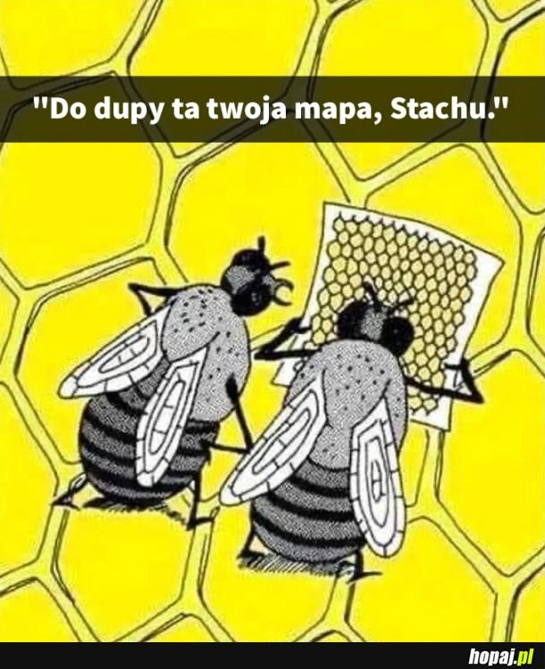 Nie mapy wina, że taka dzielnica.