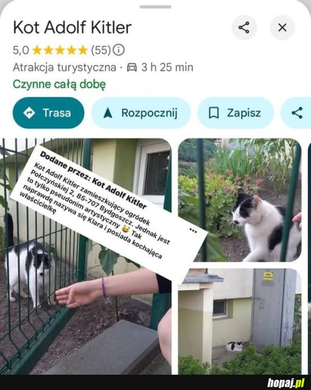Kitler nie jest bezdomniakiem