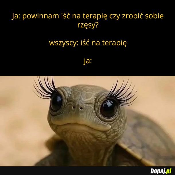 Terapia czy rzęsy