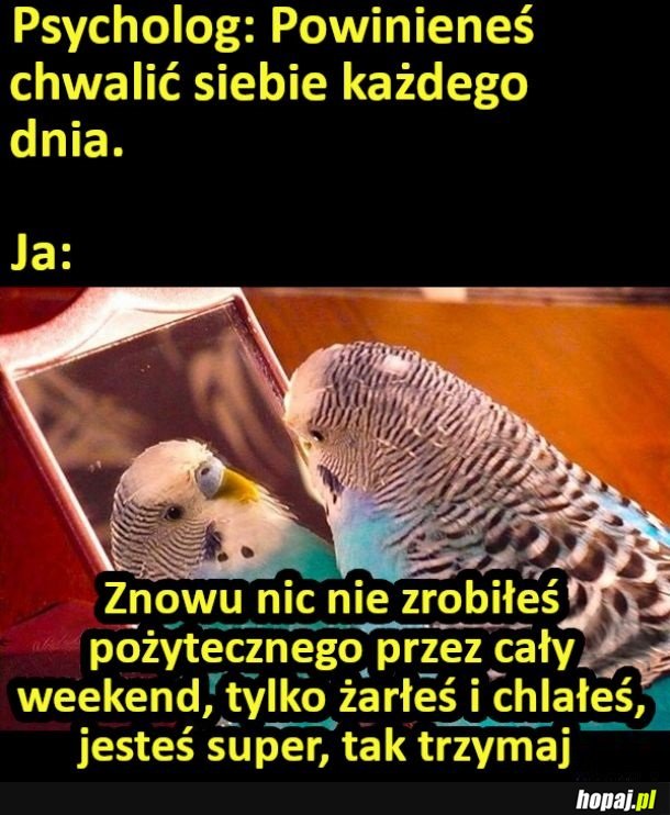 Trzeba siebie chwalić każdego dnia