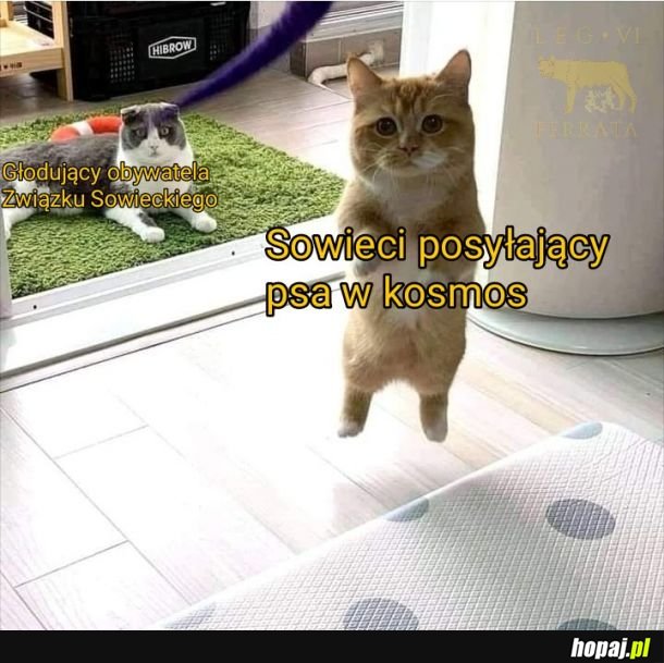 Są rzeczy ważne i ważniejsze