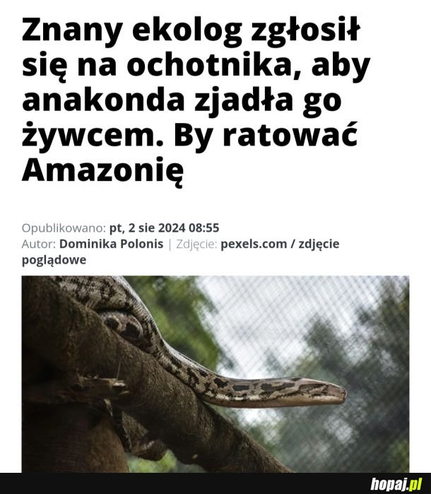 Szanuje, reszta powinna brać z niego przykład xD