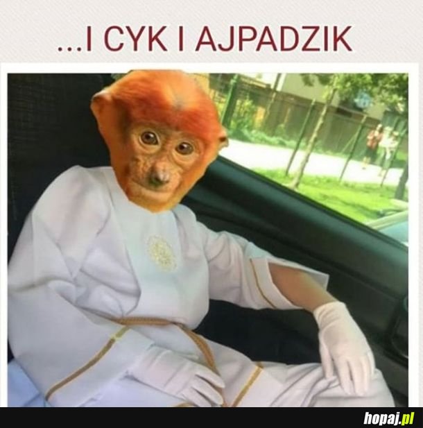 Tyle wygrać 