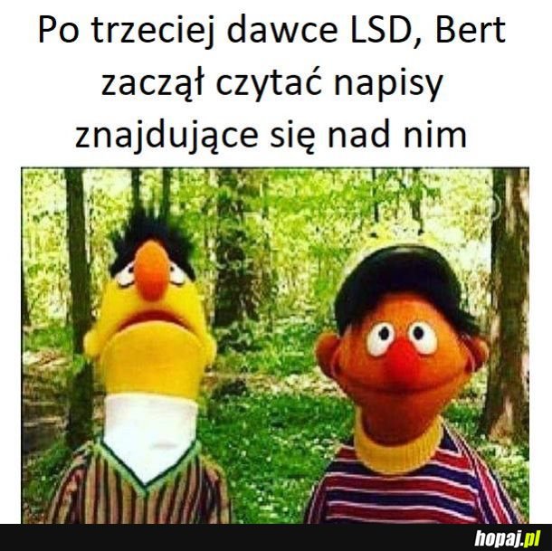 Ciekawe, co z nich wyczytał