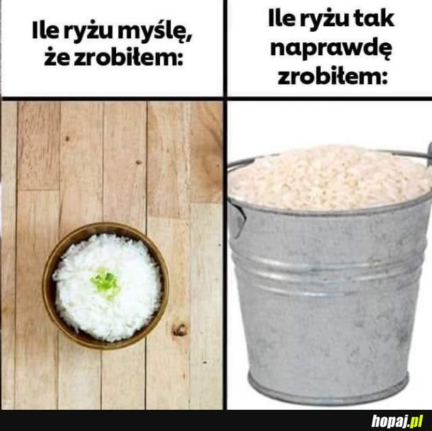 Ryż