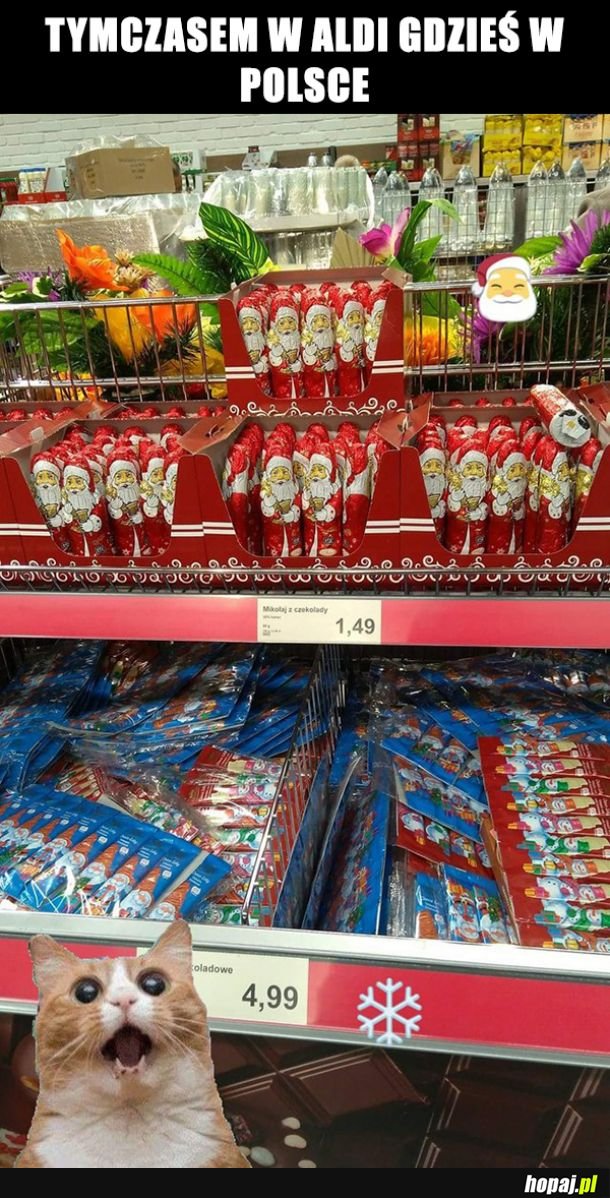 Zwycięzca w wyścigu :D