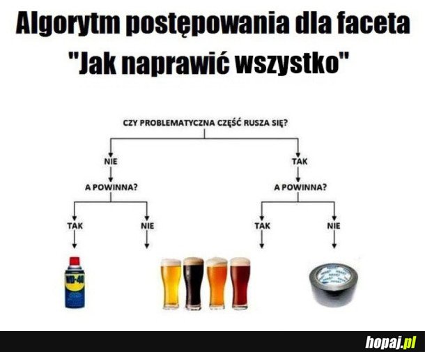 ALGORYTM POSTĘPOWANIA FACETA