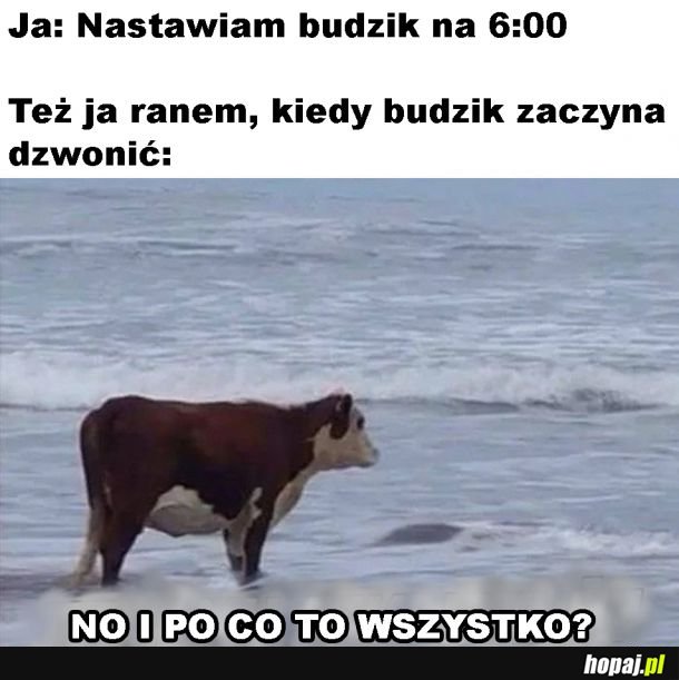 No po co