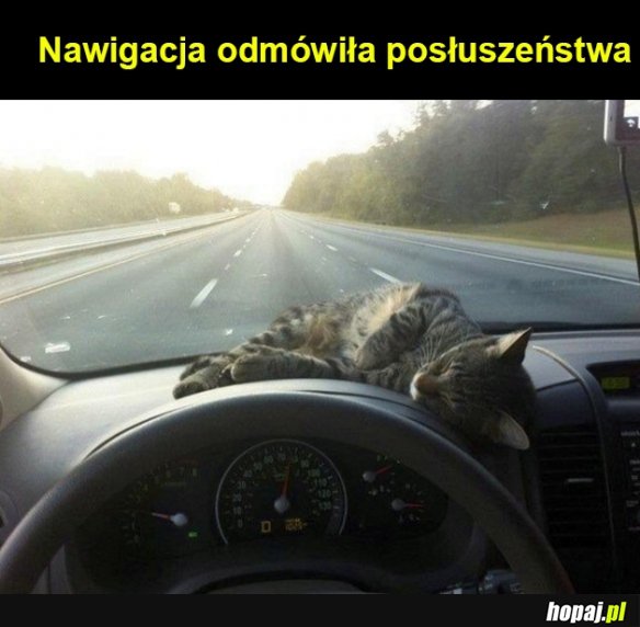 Nawigacja