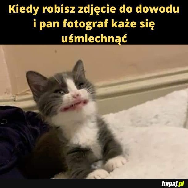 Coś śmierdzi 