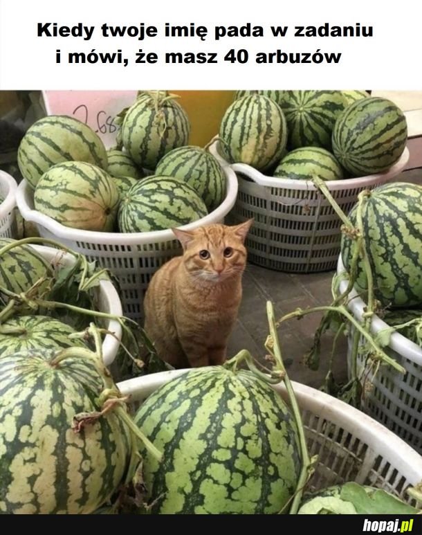 Legenda głosi, że co najmniej raz w życiu musi paść twoje imię w zadaniu od matmy