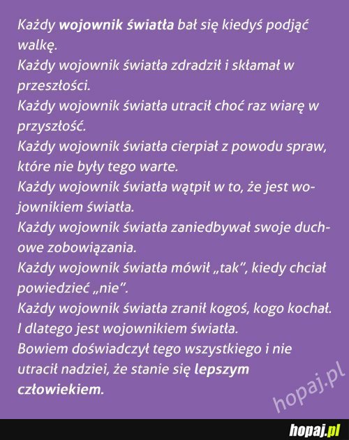 Wojownik Światła