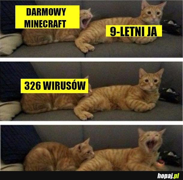  Zgrubsza tak to wygląda 