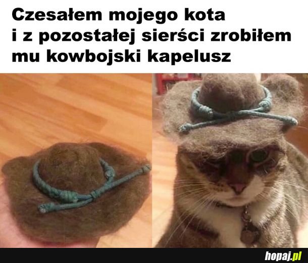 Nic lepszego już nie zobaczycie 
