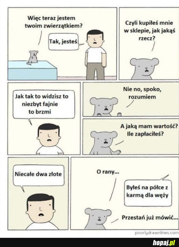 Zwierzak