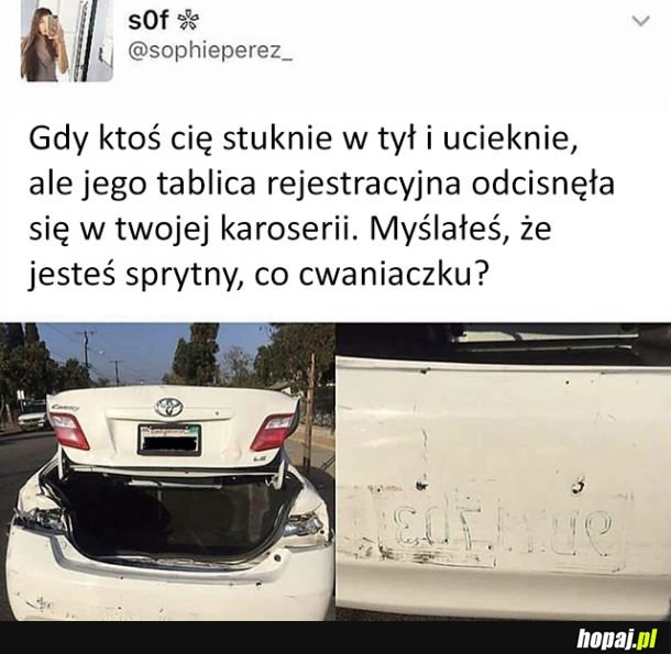 Nie warto było uciekać 