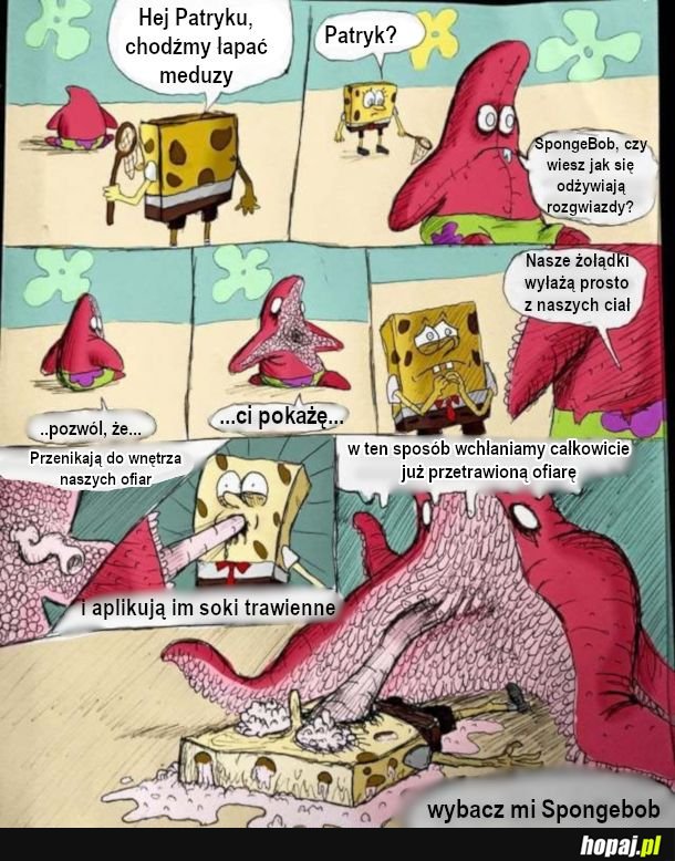  Anatomia morskich stworów 