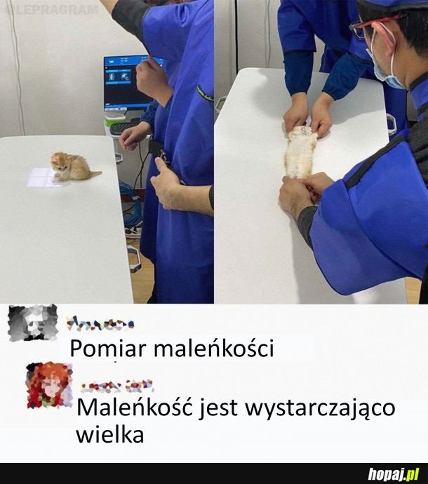 Pomiar maleńkości