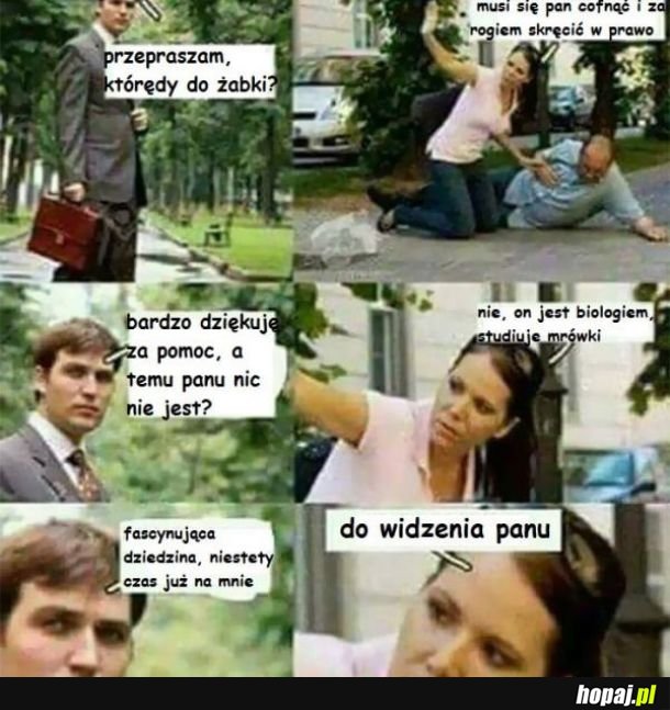 Doktor