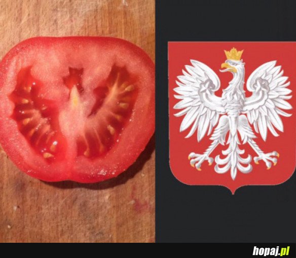 Polska