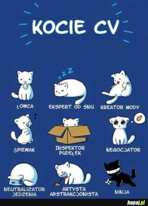 KOCIE CV