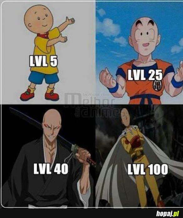 Ewolucja łysola.