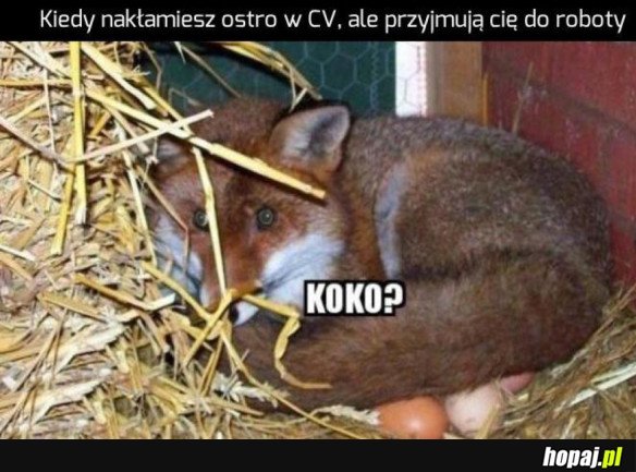 NIKT SIĘ NIE SKAPNIE