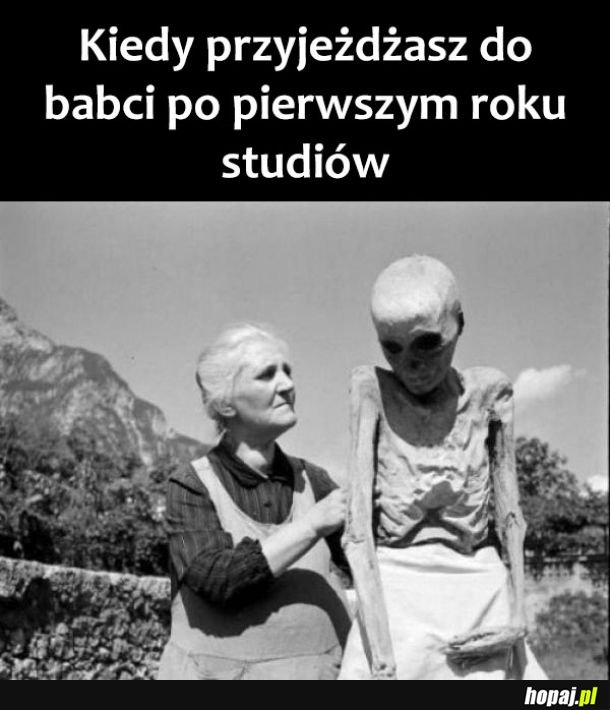 Studia