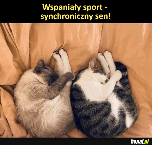 Wspaniały sport