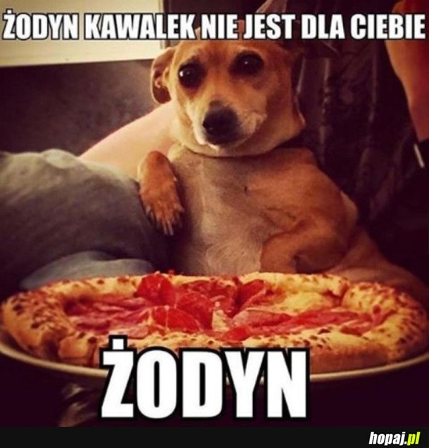 ŻODYN