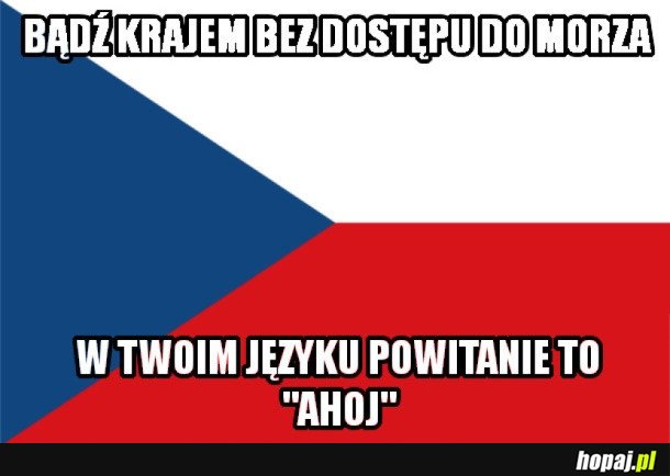 CO CI CZESI?