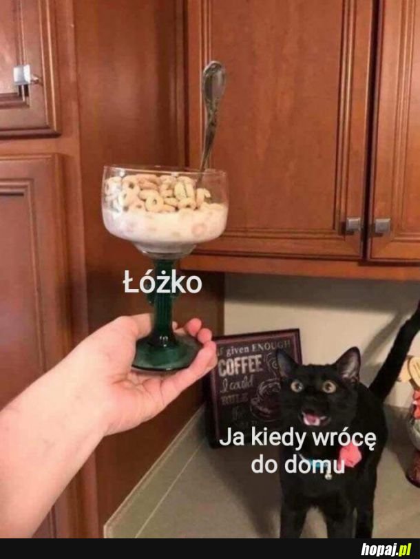  Kochane łóżko 