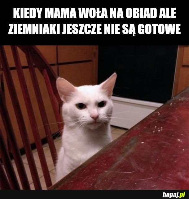 Po po co sie ogłaszasz! 