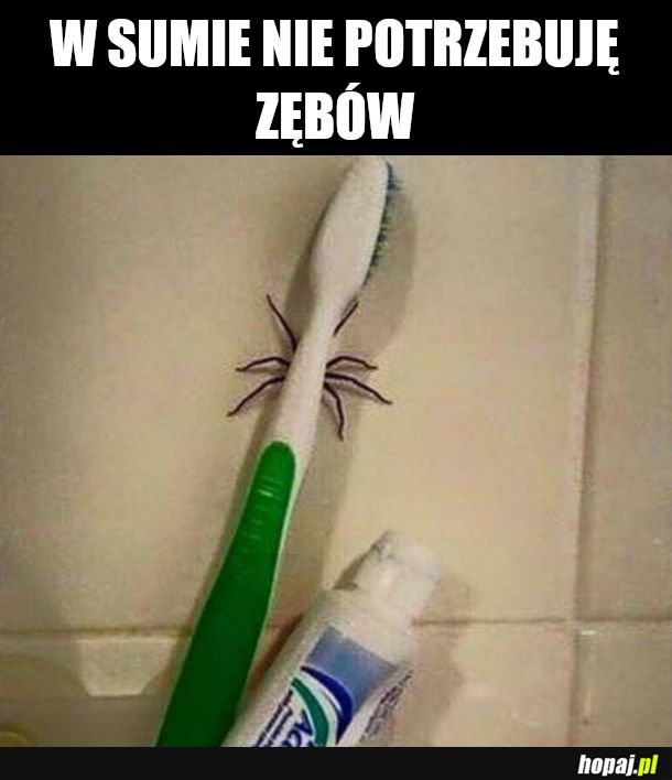Na co to komu potrzebne