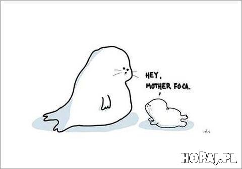 Hoym mother foca
