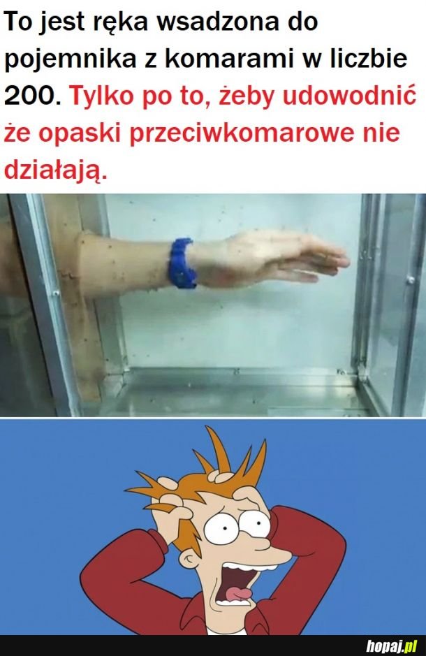 Nie marnuj kasy