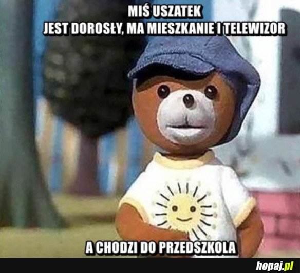 MIŚ USZATEK