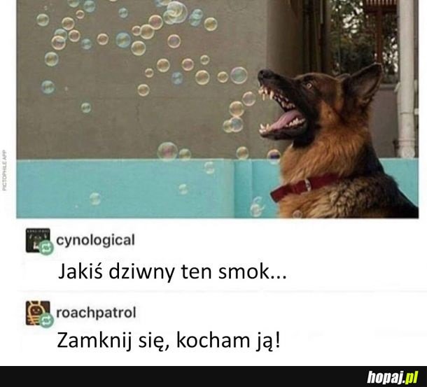 Dziwny smok