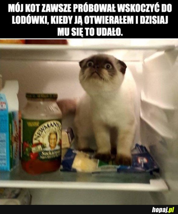 UDANA PRÓBA